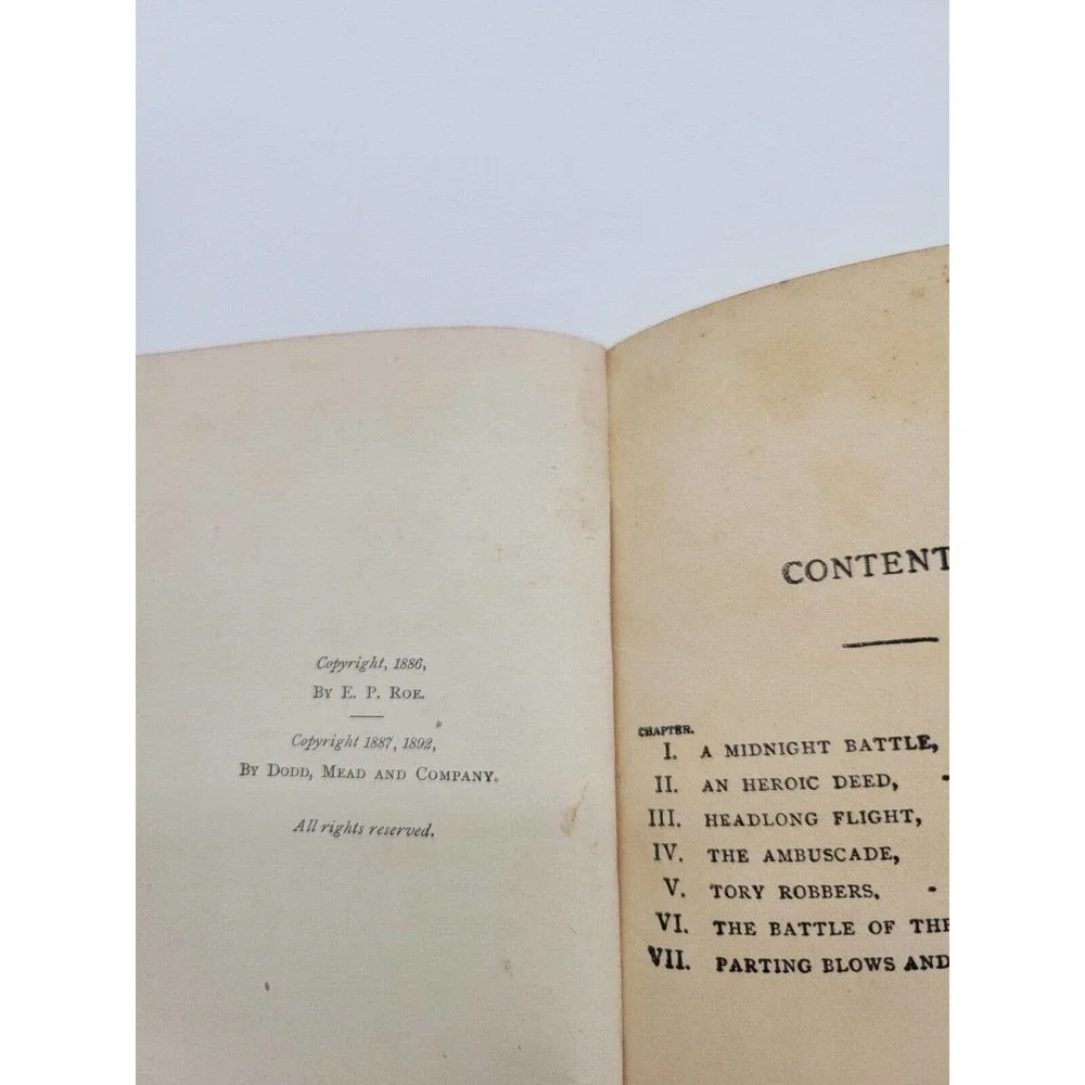 Vintage Edward P Roe THE‎ HORNET'S NEST 1892 Decorative Hardcover